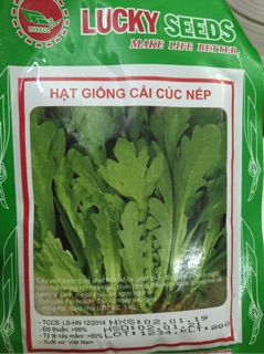 Hạt giống rau cải cúc nếp
