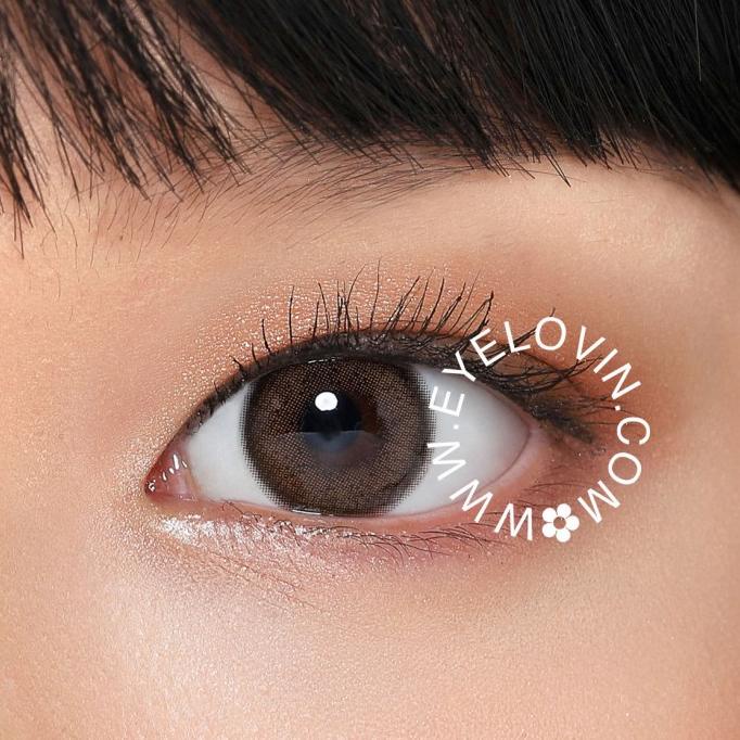 Kawaii Kitty Softlens - Mini Birkin Nâu | BigBuy360 - bigbuy360.vn