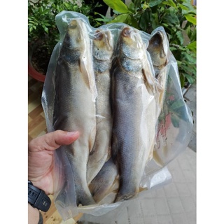 KHÔ CÁ CHÉT ĐẶC SẢN CÀ MAU 1000 gr