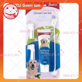 ⚡𝐅𝐑𝐄𝐄𝐒𝐇𝐈𝐏⚡ [GIẢM GIÁ] Bộ kem đánh răng bioline hương bạc hà cho chó mèo - petshop số 01