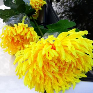 Hoa cúc giả hoa lụa bông to hàng đẹp