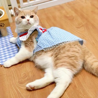 Đầm Nơ Xinh Xắn Cho Thú Cưng