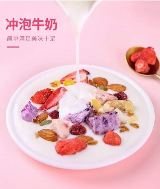 Ngũ Cốc Sữa Chua Hoa Quả Cao Cấp YOGURT FRUIT OATMEAL 500g