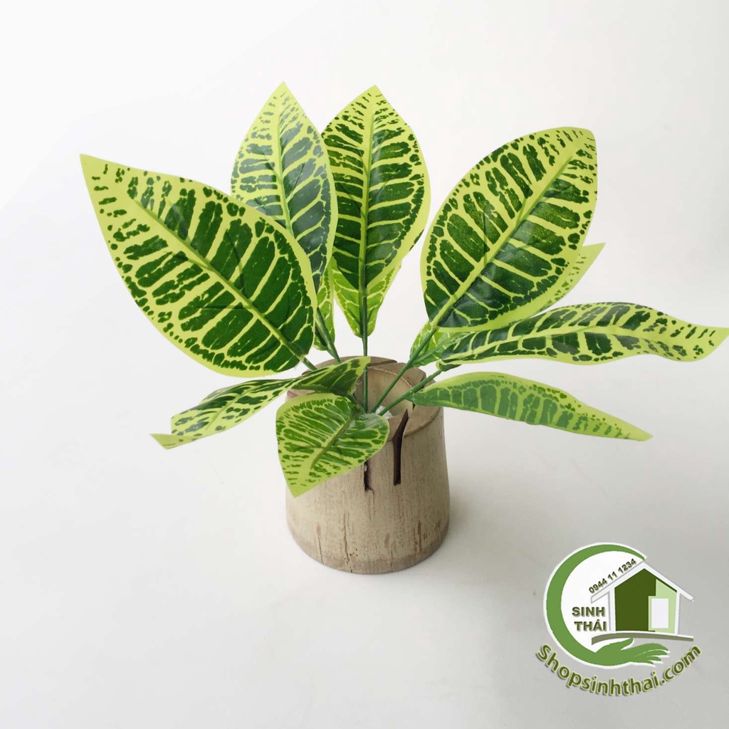 Bụi cây vàng bạc, lá xanh đậm nhạt sọc - Cây giả trang trí