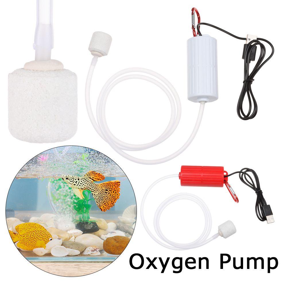 Máy Bơm Oxy LAYOR1 Cổng USB Cho Bể Cá