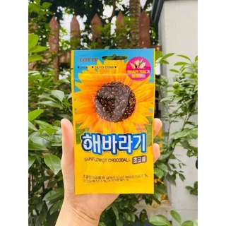 Kẹo hướng dương bọc socola