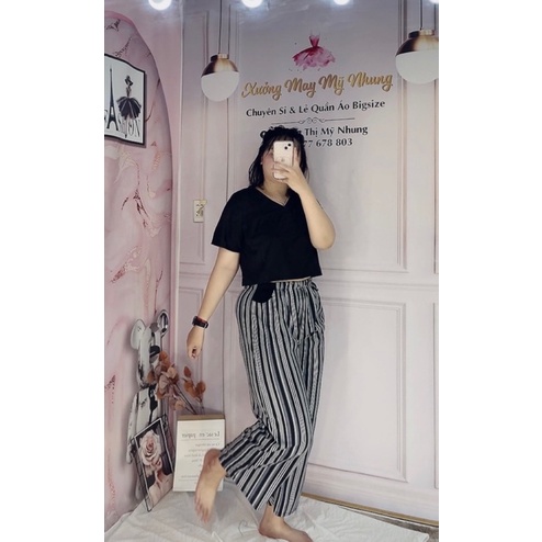 Sét quần sọc ống suông áo Coptop 70kg đến 95kg