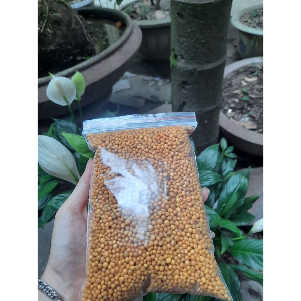 Phân bón tan chậm Oscomote 14-14-14 - hàng chiết lẻ ( 0.5KG) tặng 2M Túi lưới