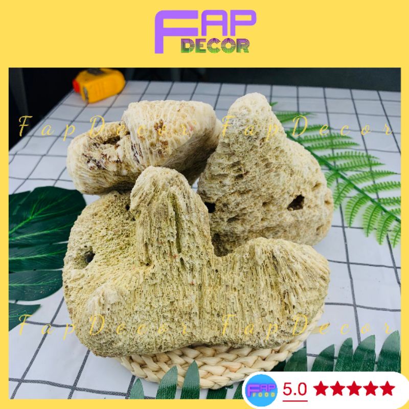 Đá Làm Hòn Non Bộ, Đá Ông Thủy Sinh, Đá Vôi Cứng Họa Tiết Lỗ Làm Hòn Non Bộ, Thủy Sinh Decor Nhà Cửa - FapFood