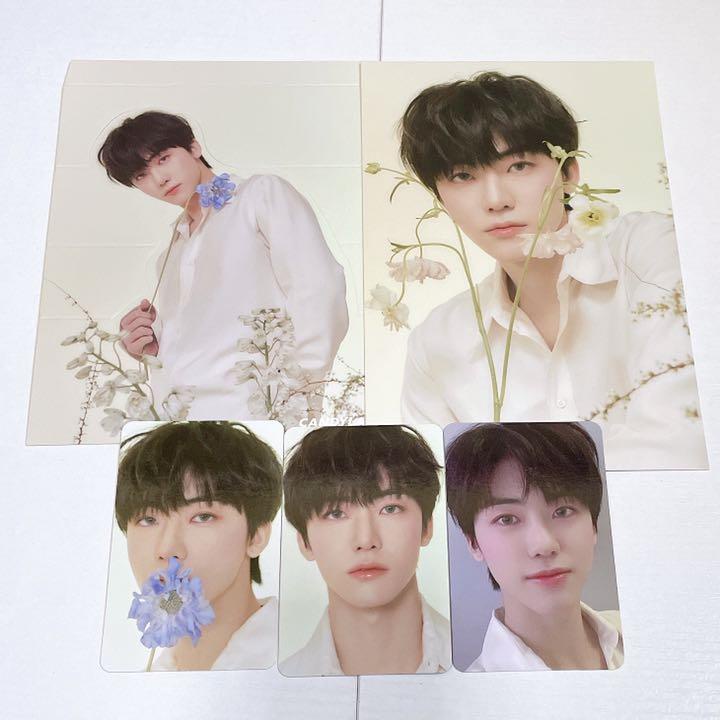 Ảnh photocard official Candylab nhóm NCT DREAM Renjun Jaemin Jeno Jisung Chenle Hot sauce Ridin