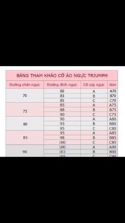 Áo Triumph Sexy Cushion Basic Whu