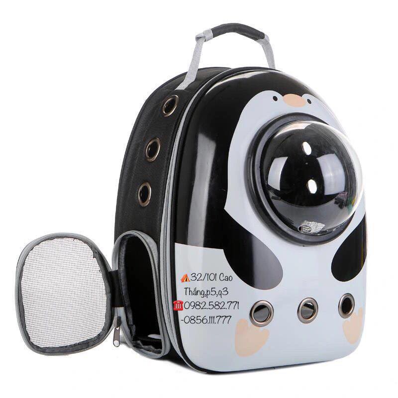 BALO PHI HÀNH GIA CHO CHÓ MÈO