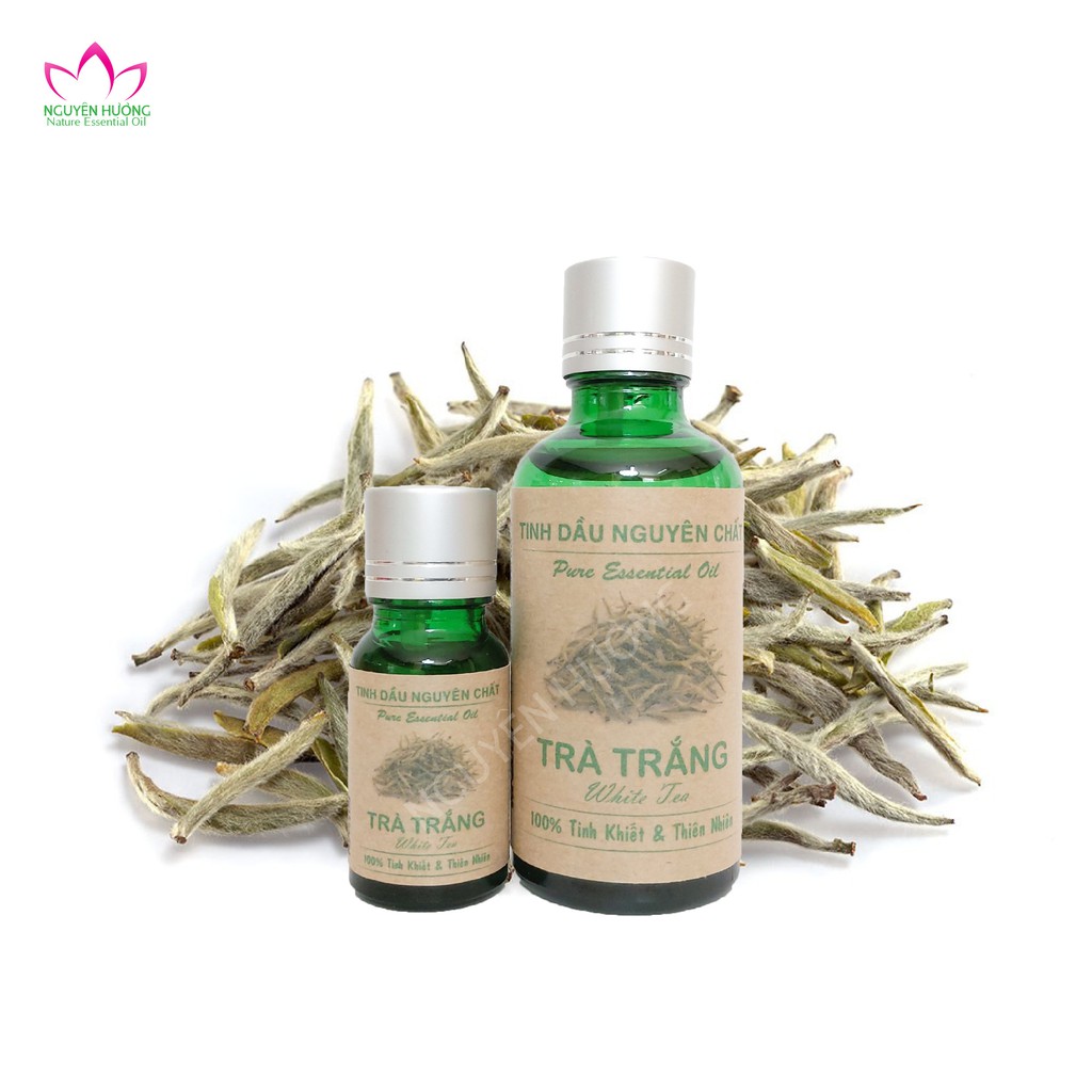 Tinh dầu Trà Trắng Nguyên Chất|Tinh dầu trà trắng cao cấp Nhập Khẩu Ấn Độ|Thương Hiệu Nguyên Hương