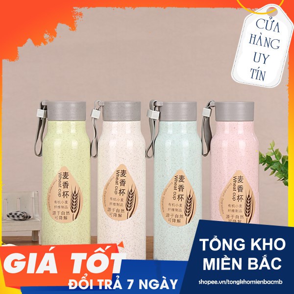 Bình xương rồng 450m tiện dụng