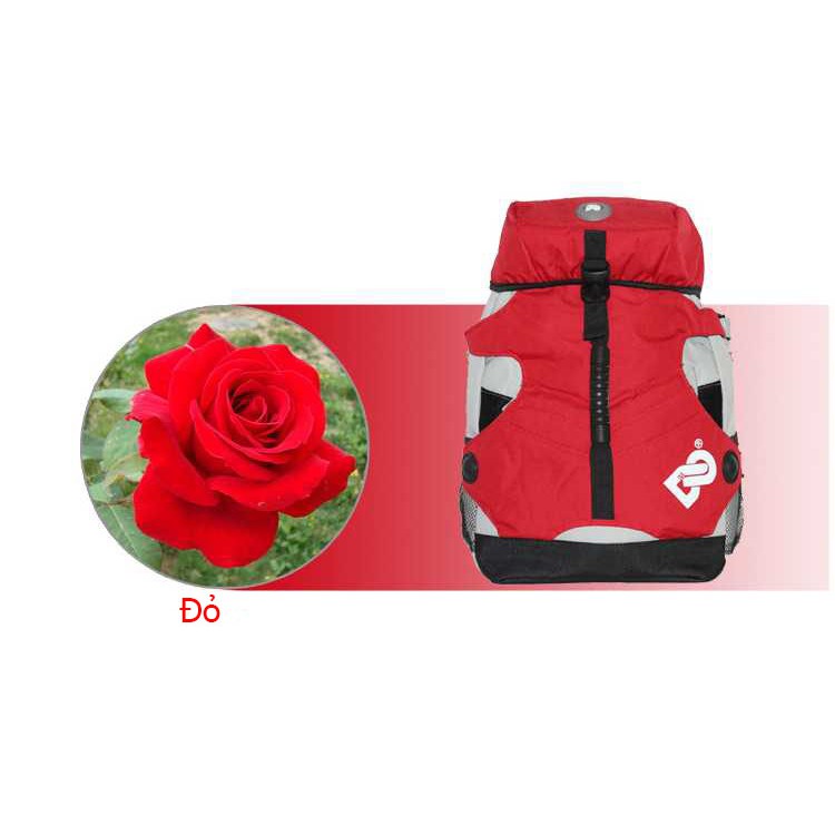 Balo DG patin, balo du lịch