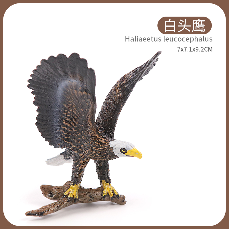 Mô hình chim hồng hạc/ chim công/ thiên nga/ chim đà điểu đồ chơi giáo dục cho bé