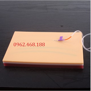 Mô hình tiêm tĩnh mạch