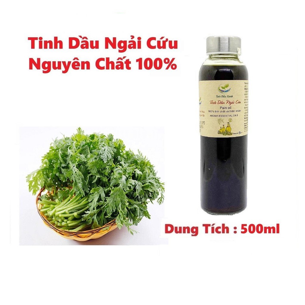 Tinh Dầu Xanh [𝐍𝐆𝐔𝐘𝐄̂𝐍 𝐂𝐇𝐀̂́𝐓 𝟏𝟎𝟎%]|Tinh Dầu Ngải Cứu Nguyên Chất 500ml