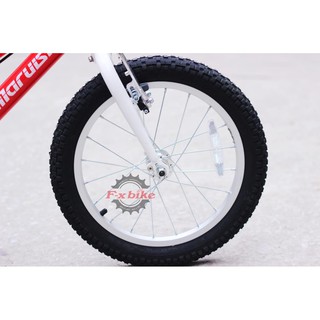 Xe đạp trẻ em Maruishi Future 16 inch
