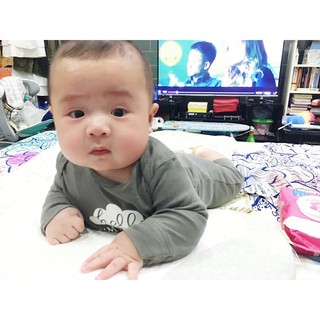 Combo sỉ body dài bé trai