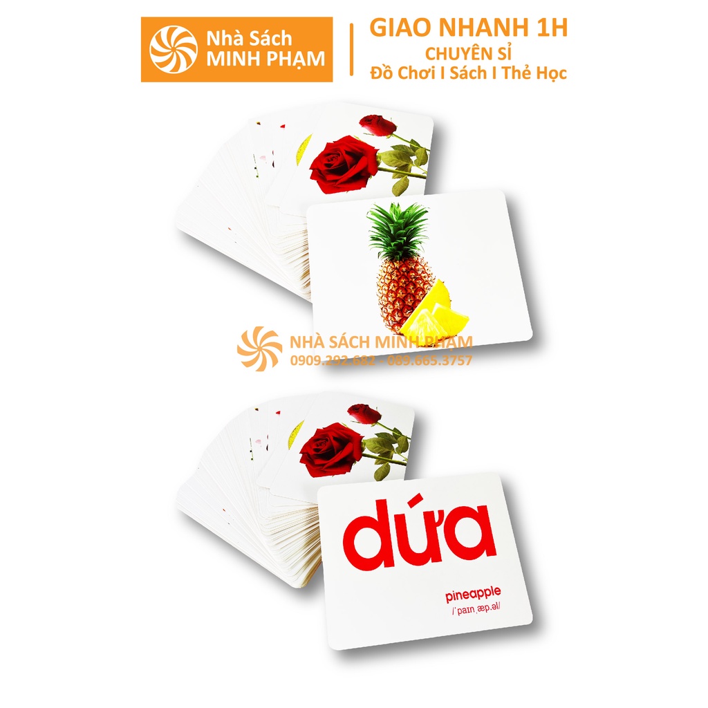 Sách - Bộ Thẻ Học Thông Minh Flashcard Thế Giới Xung Quanh Việt Hà Khổ A5 - Song Ngữ Anh Việt Phương Pháp Glenn Doman