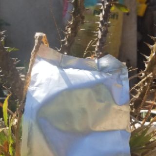 Cà phê nguyên chất robusta loại 200g