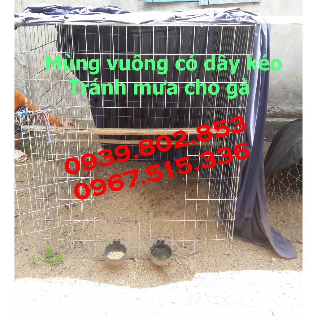 Mùng gà vuông các kích thước có dây kéo tránh mưa + tránh muỗi