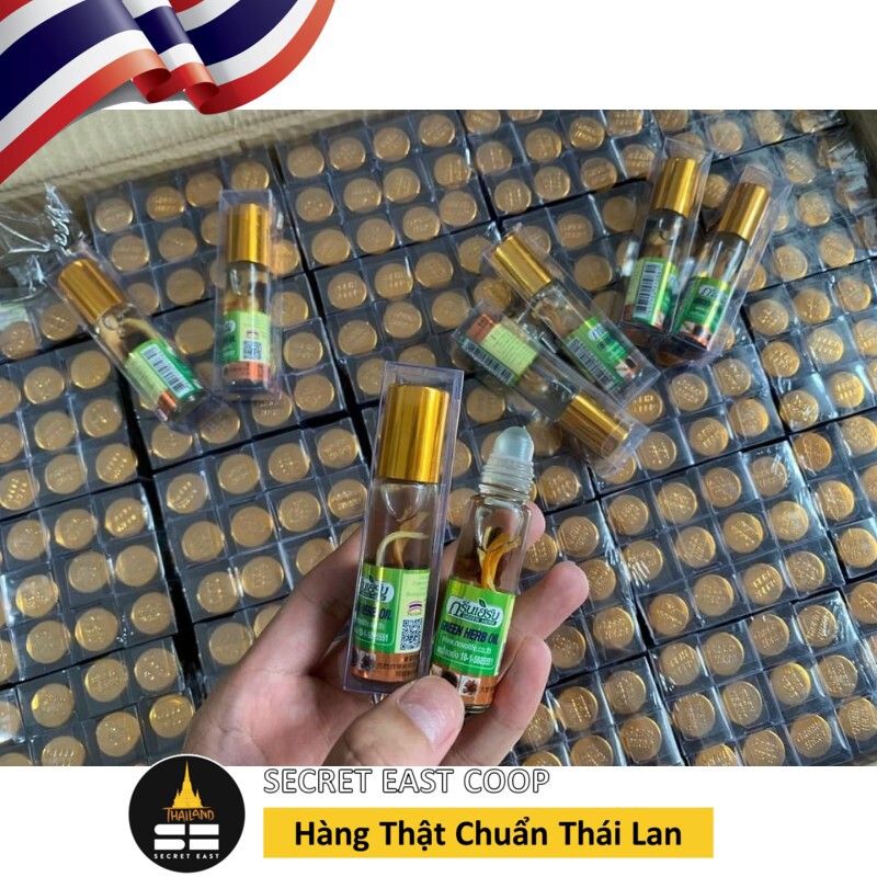 🌿Dầu Nhân Sâm Thảo Dược Thái Lan Chính Gốc - Hãng Ginseng Green Herb Oil - Phân biệt Thật vs Giả-8ml - Secret East Coop