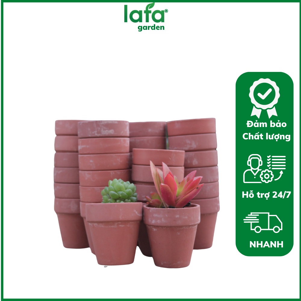Chậu Trồng Sen Đá Đất Nung 1 Cái Lafa Garden, Đặc Biệt Chuyên Trồng Cây Sen Đá
