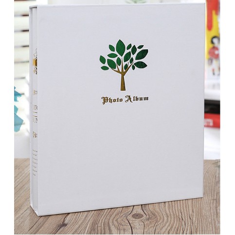 Album ảnh 8x10 đựng 400 ảnh mẫu bìa đẹp, có vỏ hộp