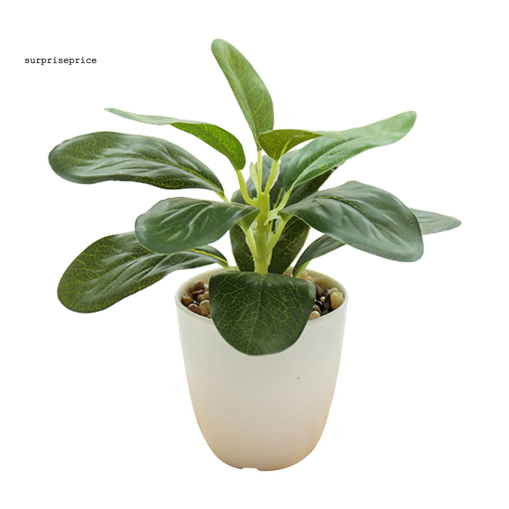 Chậu Cây Cảnh Nhân Tạo Sống Động Dùng Trang Trí Nhà Cửa/ Tiệc Cưới