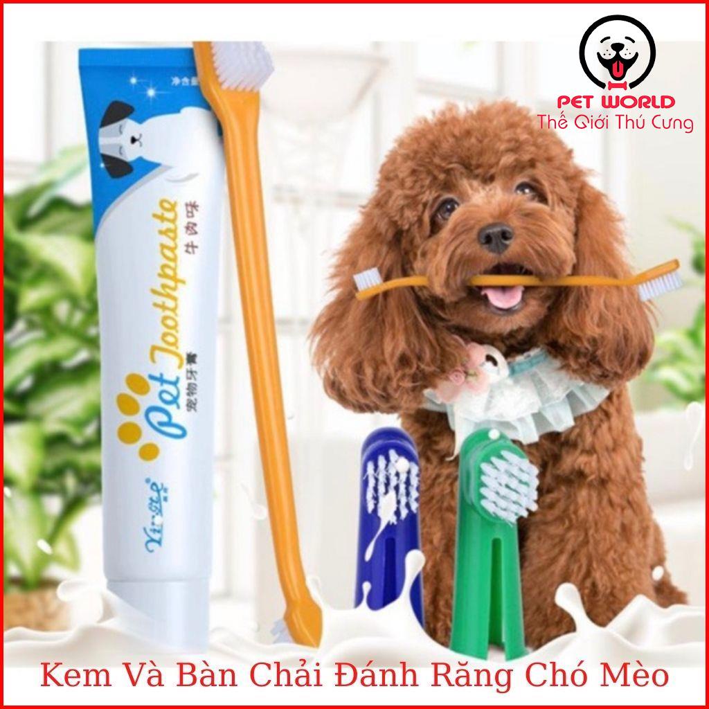 Kem đánh răng thơm miệng và bàn chải đánh răng cho chó mèo
