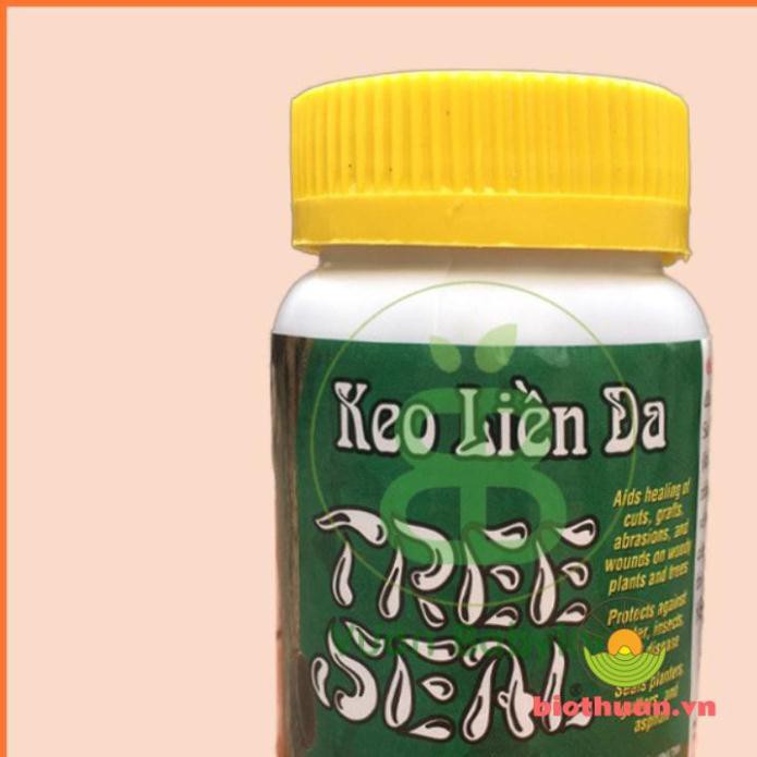 Keo trét cây sứ Keo Liền Da Mỹ Morrison 100g
