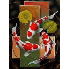 Bộ Tranh Đính Đá 5d Họa Tiết Cá Koi Độc Đáo Diy Dùng Trang Trí Nhà Cửa