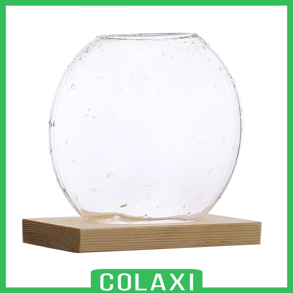 Chậu Cây Thủy Canh Trong Suốt Kèm Giá Đỡ Bằng Gỗ Để Bàn Trang Trí