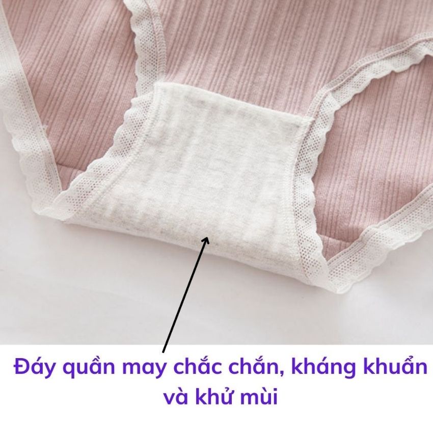 Quần lót cotton Cao Cấp viền ren mềm mại kháng khuẩn, quần lót nữ họa tiết dễ thương L2899