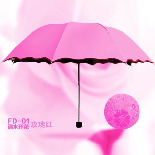 ☔️☔️☔️Ô GẤP NỞ HOA