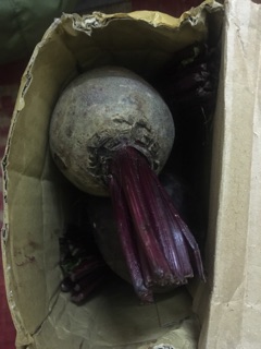 Củ dền đỏ 89k/2 kg-hỗ trợ ship đơn từ 50k
