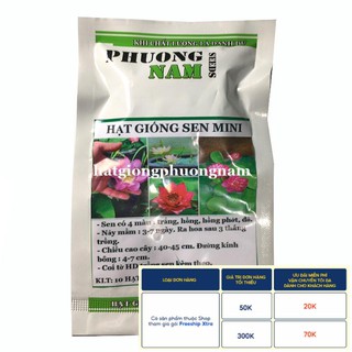 10H - HẠT GIỐNG HOA SEN MINI