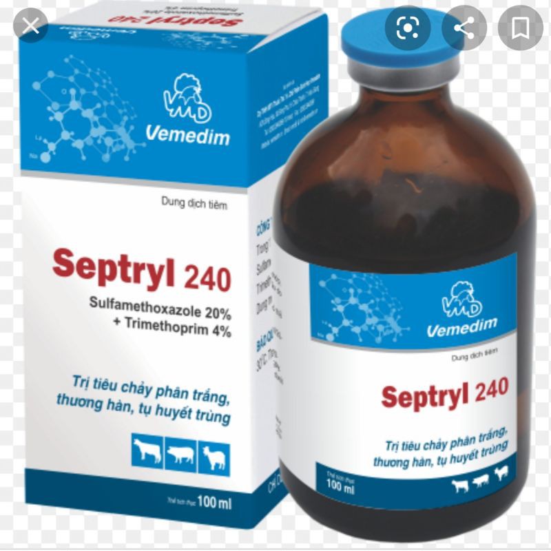 Septryl 240 100ml hsd 17/11/2024