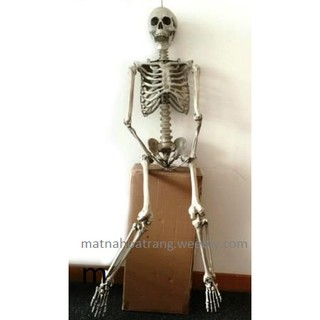bộ xương 3d trang trí halloween