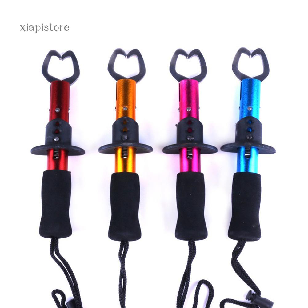 Dụng Cụ Kẹp Cá Mini 17Cm Bằng Thép Không Gỉ