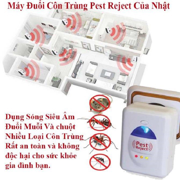 Thiết Bị Xua Đuổi Côn Trùng Pest Rejeck, Không Dùng Hóa Chất, An Toàn Khi Sử Dụng - máy đuổi côn trùng