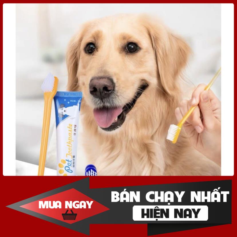 [❌GIÁ SỈ❌] [ RẺ VÔ ĐỊCH ] Bộ bàn chải kem đánh răng cho thú cưng thơm miệng chống sâu răng cao cấp ❤️