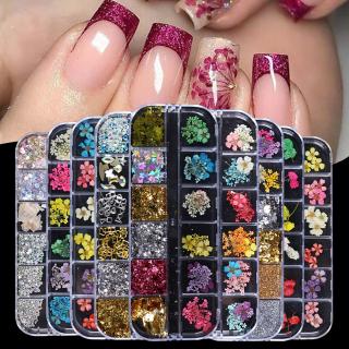 [Hàng mới về] Hộp hoa khô 12 ngăn trang trí móng tay đẹp mắt
