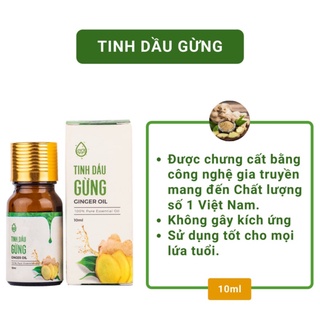 Tinh Dầu Gừng Nguyên Chất Trí Đức – 100% Từ Thiên Nhiên  - Trí Đức Ginger