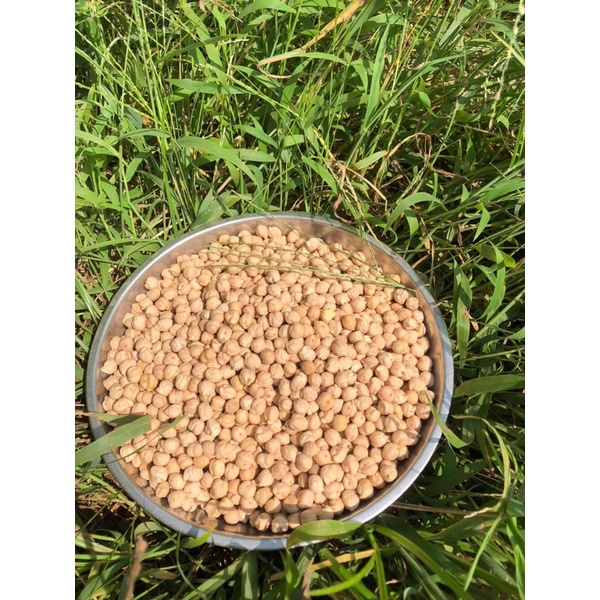 Đậu Gà  500g