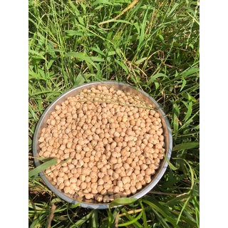 Đậu Gà  500g