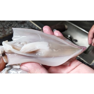 MỰC TRỨNG CÂU CÔ TÔ
