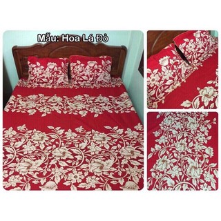 Trọn Bộ Chăn Ga Coton Poly 5 Món